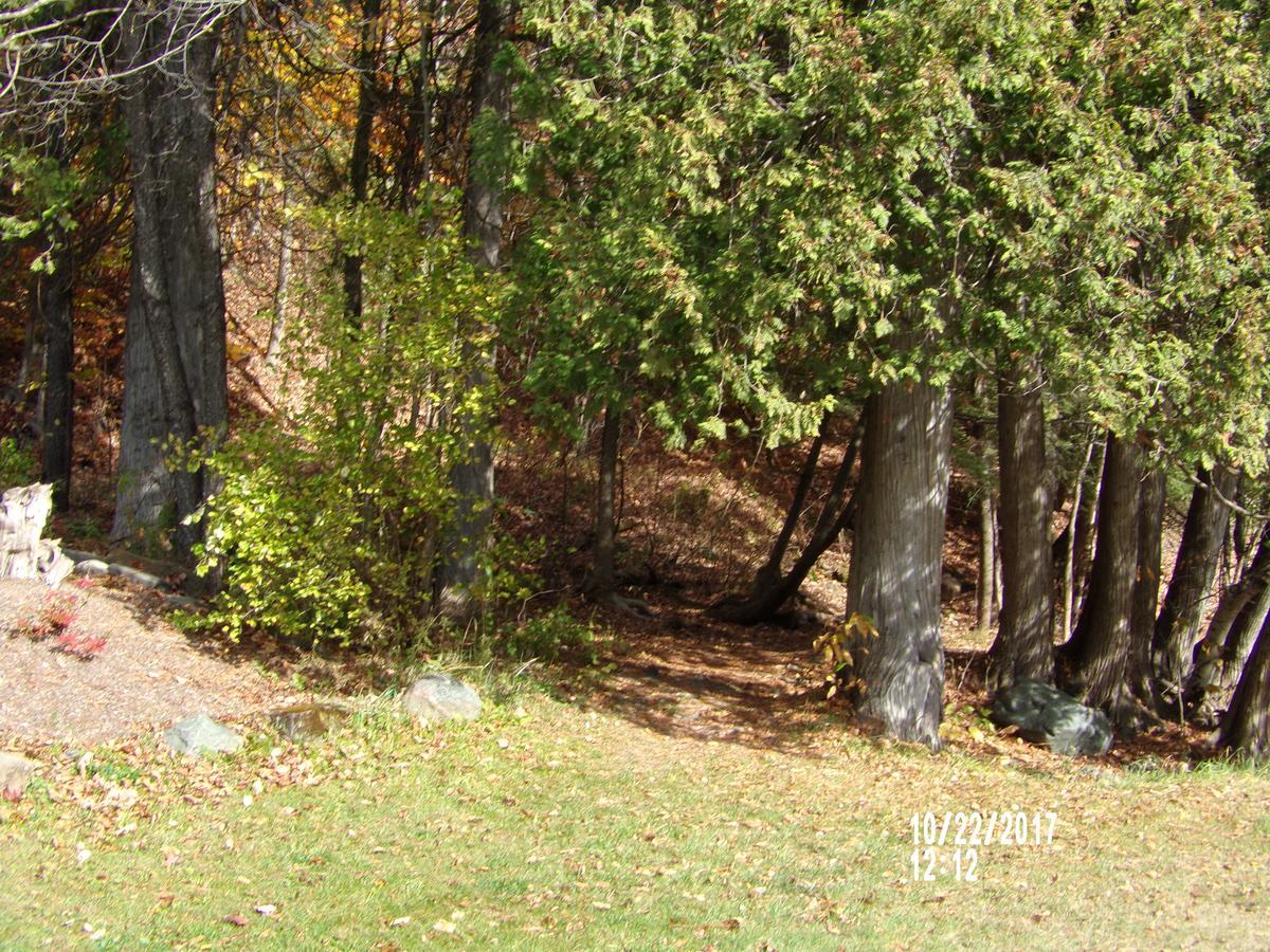 Barton Pine Crest Motel & Cabins מראה חיצוני תמונה